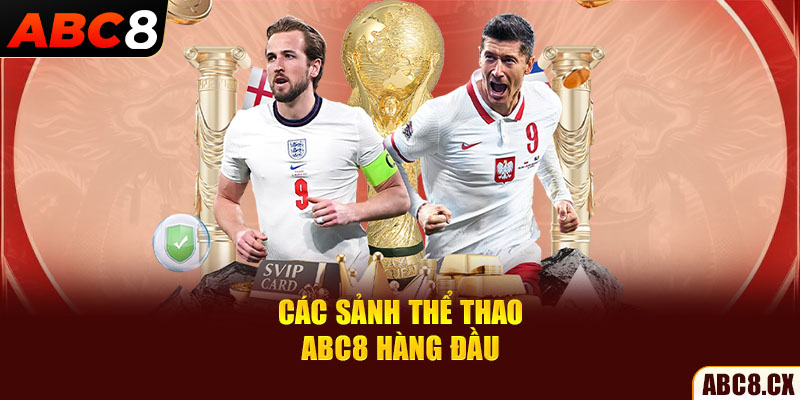 Các sảnh thể thao ABC8 hàng đầu