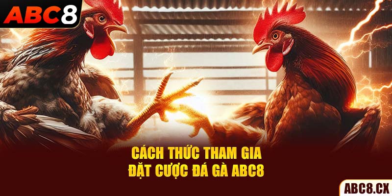 Cách thức tham gia đặt cược đá gà ABC8