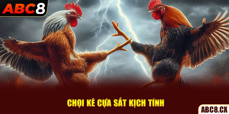 Chọi kê cựa sắt kịch tính