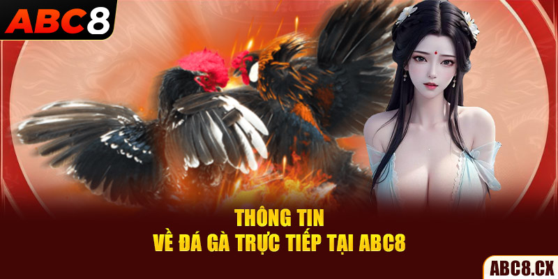 Thông tin về đá gà trực tiếp tại ABC8