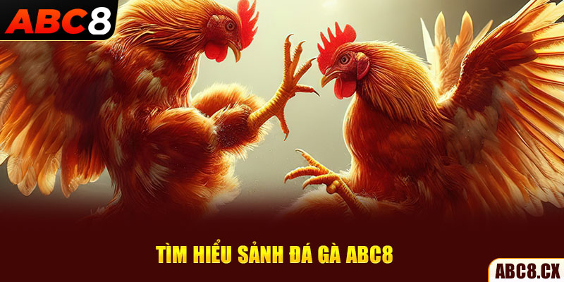 Tìm hiểu sảnh đá gà ABC8 