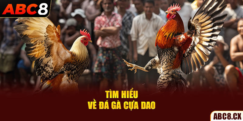 Tìm hiểu về đá gà cựa dao